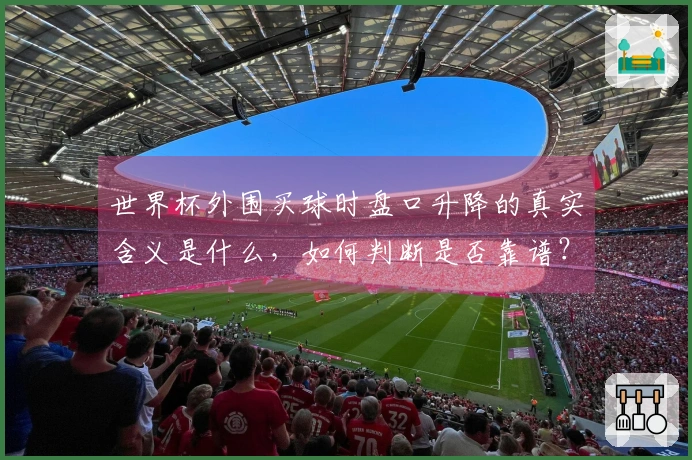 世界杯外围买球时盘口升降的真实含义是什么，如何判断是否靠谱？