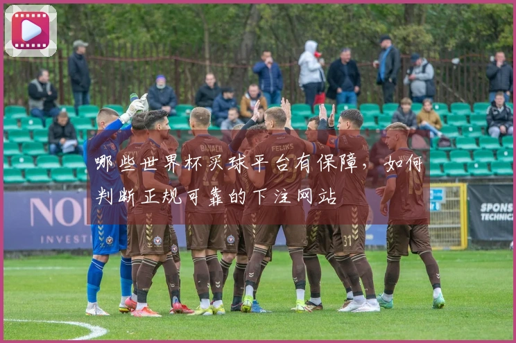 哪些世界杯买球平台有保障，如何判断正规可靠的下注网站