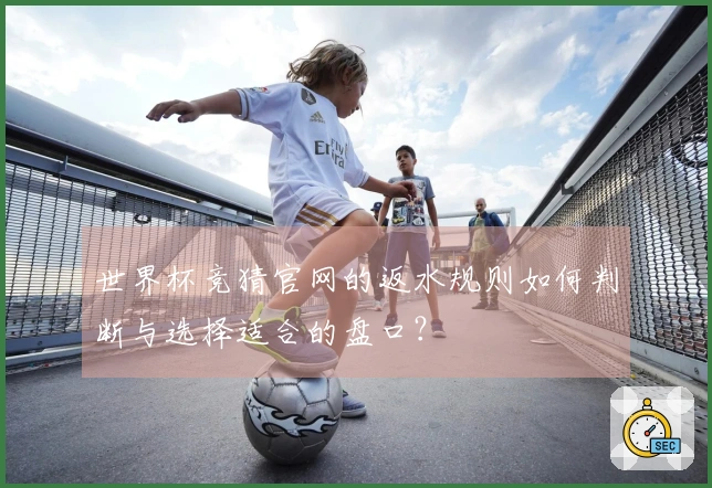 世界杯竞猜官网的返水规则如何判断与选择适合的盘口？
