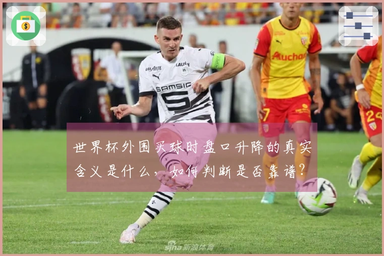 世界杯外围买球时盘口升降的真实含义是什么，如何判断是否靠谱？