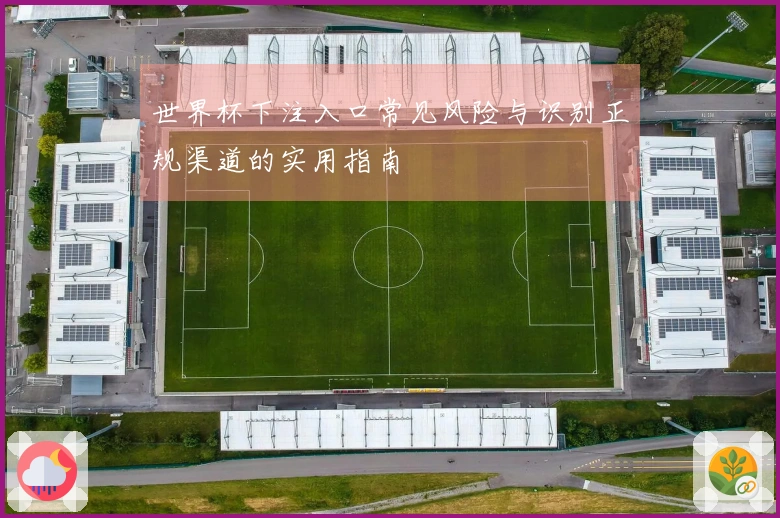 世界杯下注入口常见风险与识别正规渠道的实用指南