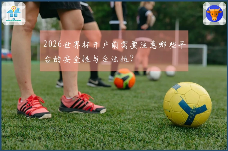 2026世界杯开户前需要注意哪些平台的安全性与合法性？