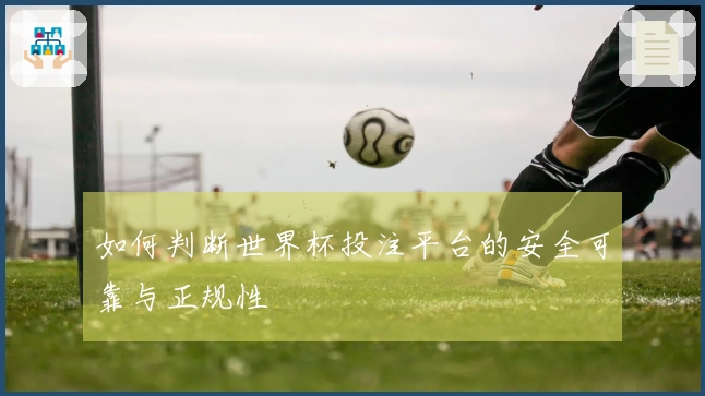 如何判断世界杯投注平台的安全可靠与正规性