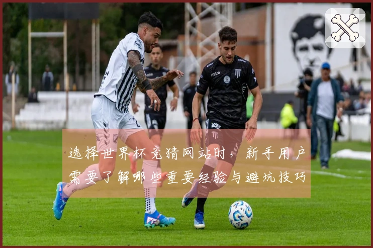 选择世界杯竞猜网站时，新手用户需要了解哪些重要经验与避坑技巧