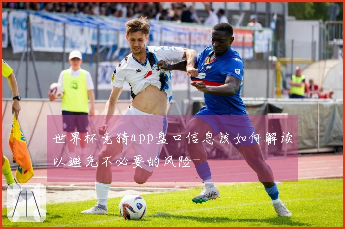 世界杯竞猜app盘口信息该如何解读以避免不必要的风险-