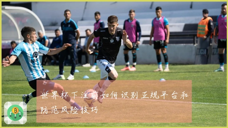 世界杯下注前如何识别正规平台和防范风险技巧