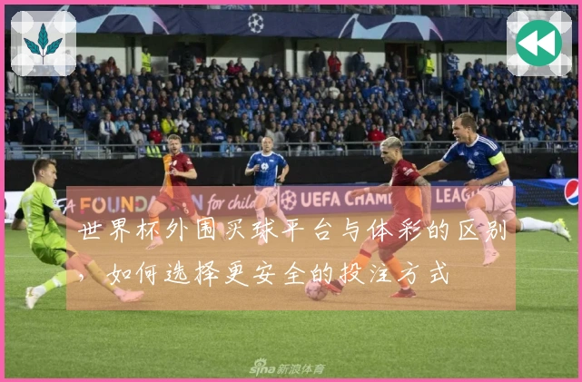 世界杯外围买球平台与体彩的区别，如何选择更安全的投注方式