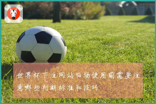 世界杯下注网站临场使用前需要注意哪些判断标准和技巧