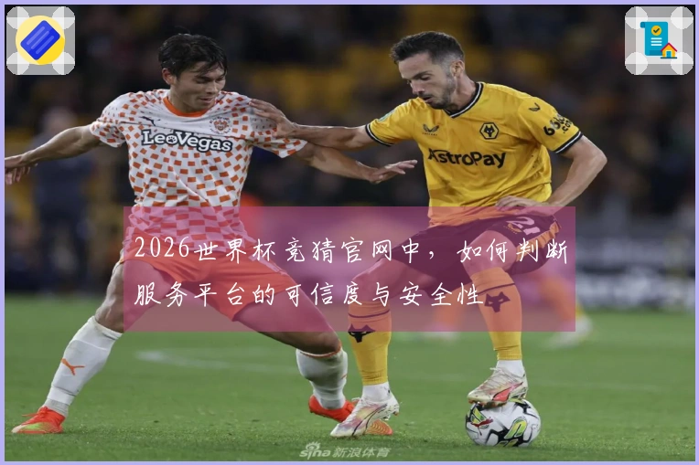 2026世界杯竞猜官网中，如何判断服务平台的可信度与安全性