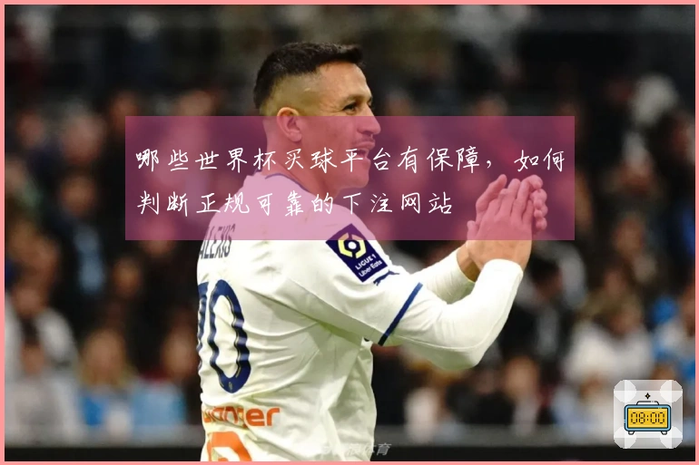 哪些世界杯买球平台有保障，如何判断正规可靠的下注网站