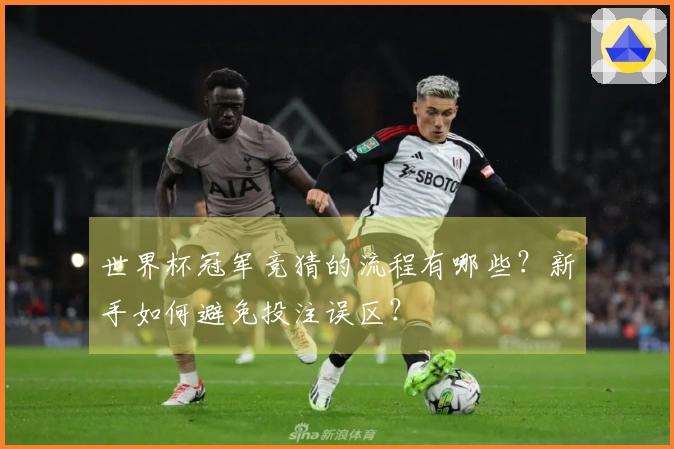 世界杯冠军竞猜的流程有哪些？新手如何避免投注误区？