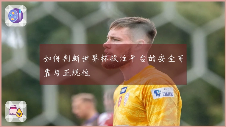 如何判断世界杯投注平台的安全可靠与正规性