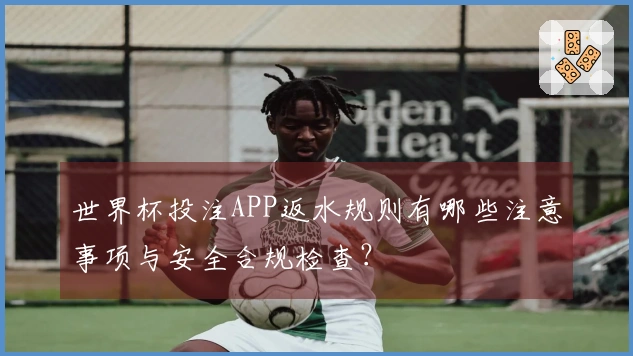 世界杯投注APP返水规则有哪些注意事项与安全合规检查？