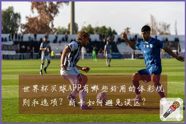 世界杯买球APP有哪些好用的体彩规则和选项？新手如何避免误区？