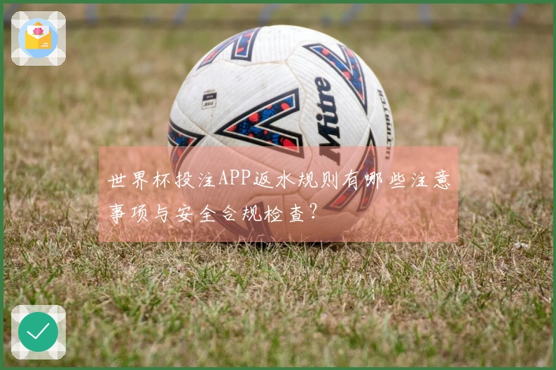世界杯投注APP返水规则有哪些注意事项与安全合规检查？