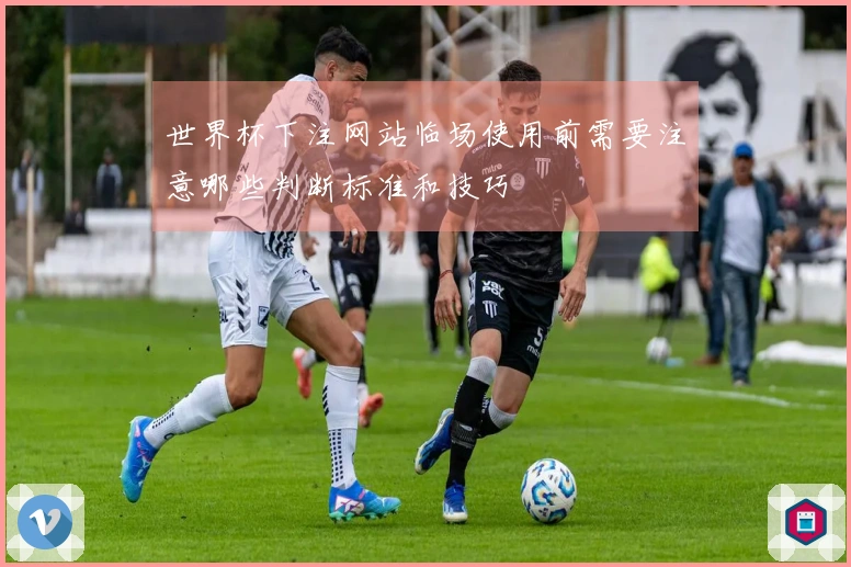 世界杯下注网站临场使用前需要注意哪些判断标准和技巧
