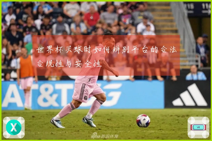 世界杯买球时如何辨别平台的合法合规性与安全性