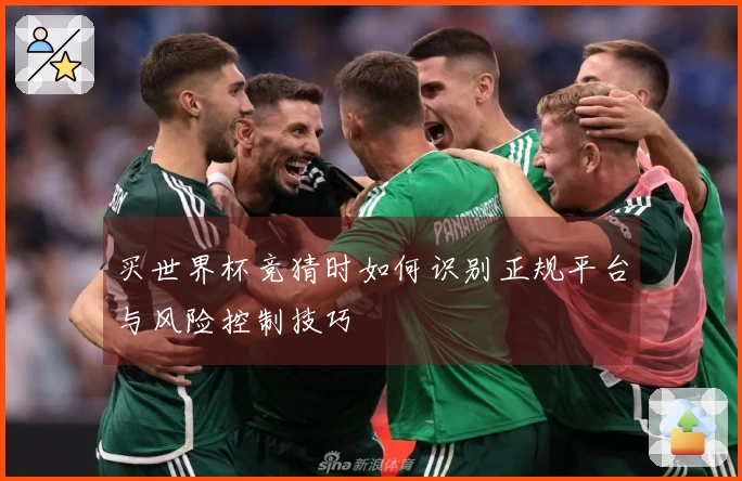 买世界杯竞猜时如何识别正规平台与风险控制技巧