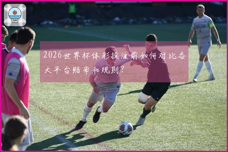 2026世界杯体彩投注前如何对比各大平台赔率和规则？