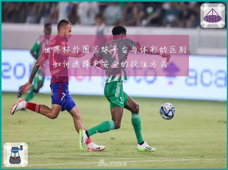 世界杯外围买球平台与体彩的区别，如何选择更安全的投注方式