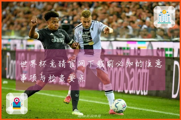 世界杯竞猜官网下载前必知的注意事项与检查要点