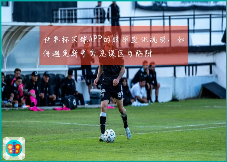 世界杯买球APP的赔率变化说明，如何避免新手常见误区与陷阱