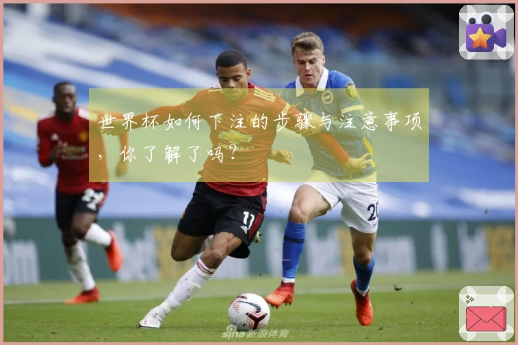 世界杯如何下注的步骤与注意事项，你了解了吗？
