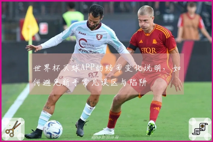 世界杯买球APP的赔率变化说明，如何避免新手常见误区与陷阱