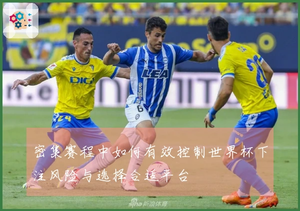 密集赛程中如何有效控制世界杯下注风险与选择合适平台